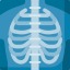 On-Site X-Ray Service Fast and accurate